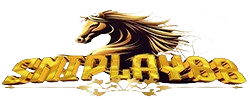 didiaho.com